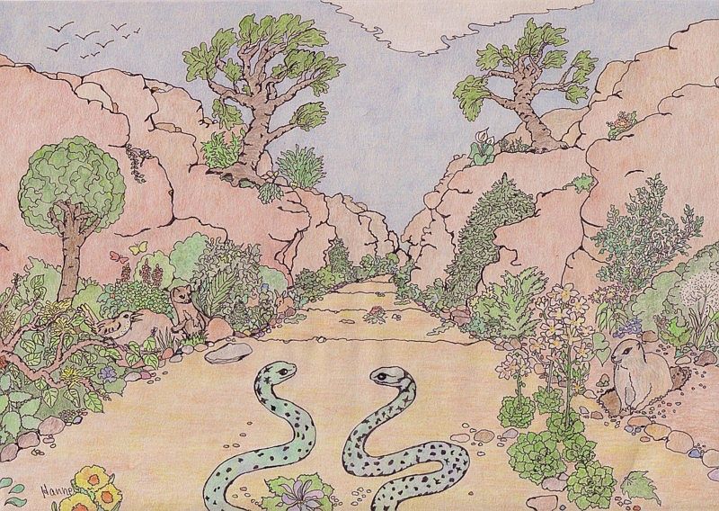 "Der Weg" - Eine Zeichnung von Hanne H.